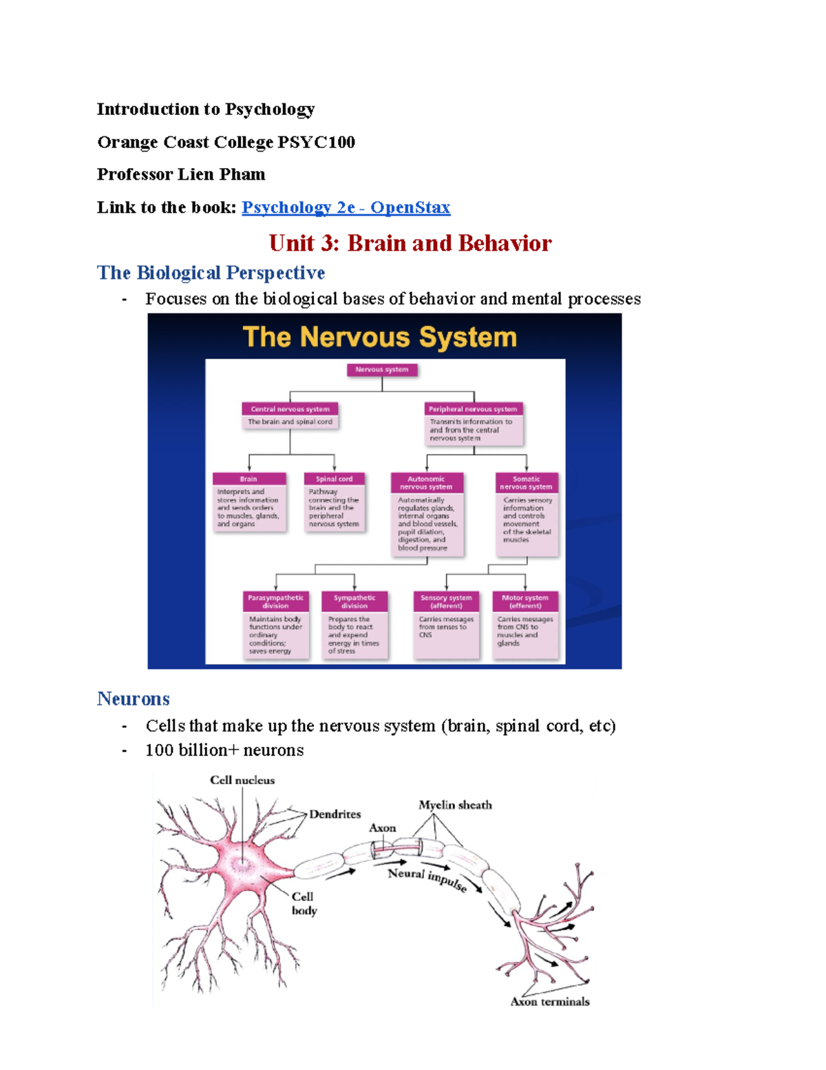 Unit 3 Brain And Behavior - Introduction To Psychology Orange Coast ...