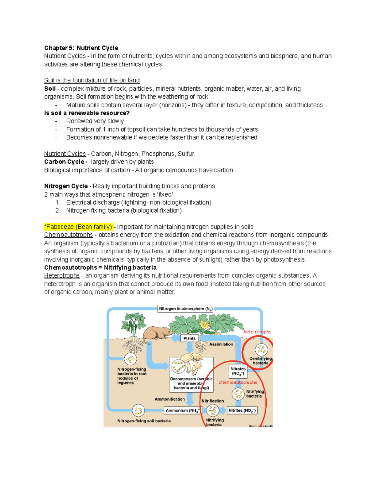 Chapter 5 The Nutrient Cycle - Chapter 5: Nutrient Cycle Nutrient ...