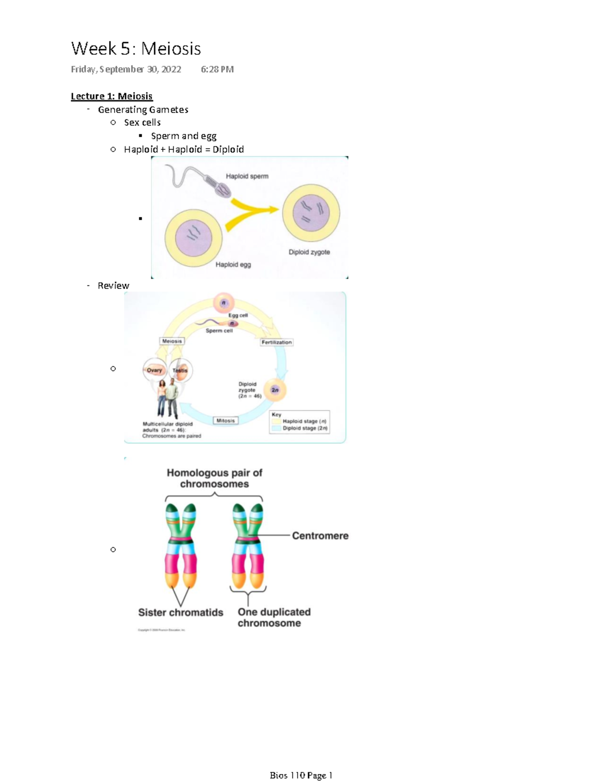 Bios 110 Week 5 Pt 2 - Bios 110 Cells And Organism Notes - Lecture 1 ...