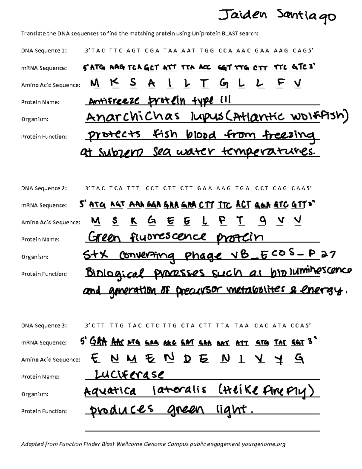 Function+Finder+Worksheet - Adapted from Function Finder Blast Wellcome ...