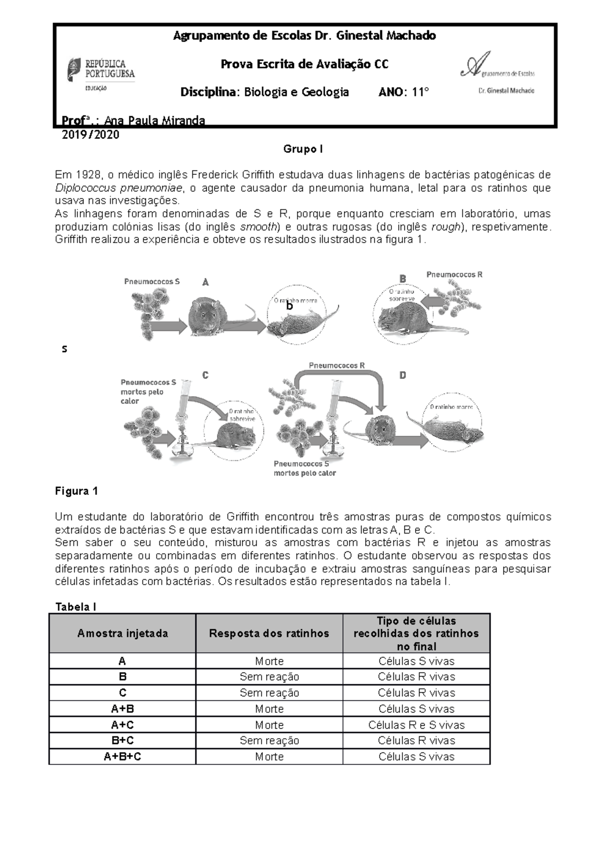 Teste 1 CC BG11 V1 - Biologia 11 - Grupo I Em 1928, o médico inglês ...