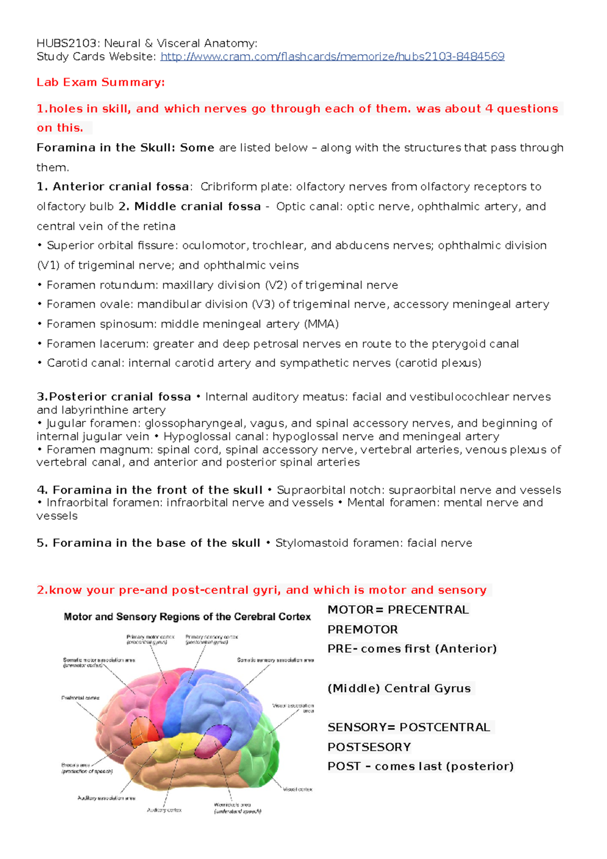 HUBS2103 PREP - Summary Neural And Visceral Anatomy - HUBS2103: Neural ...