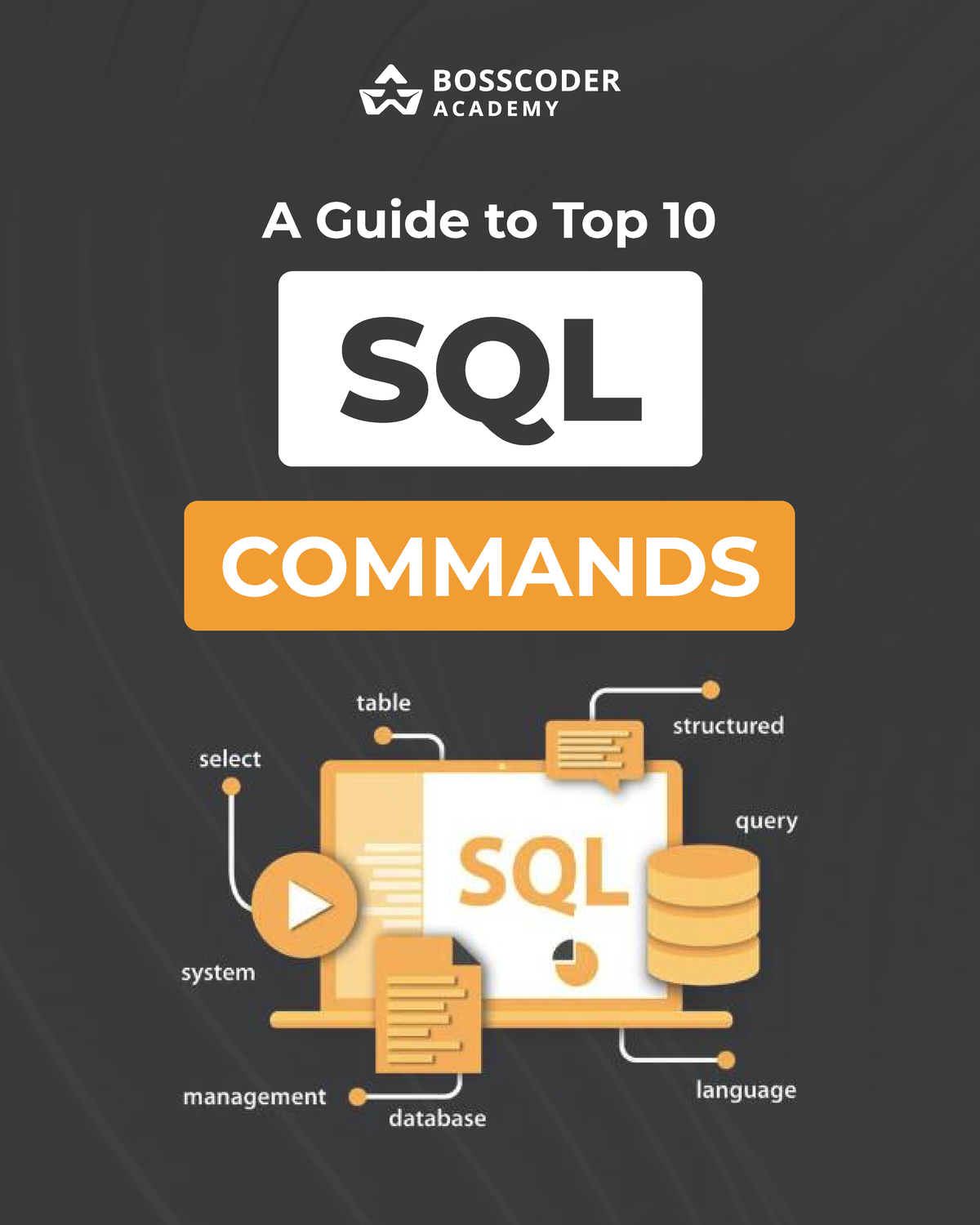 SQL - SQL commands with practical - A Guide to Top 10 SQL Commands ...