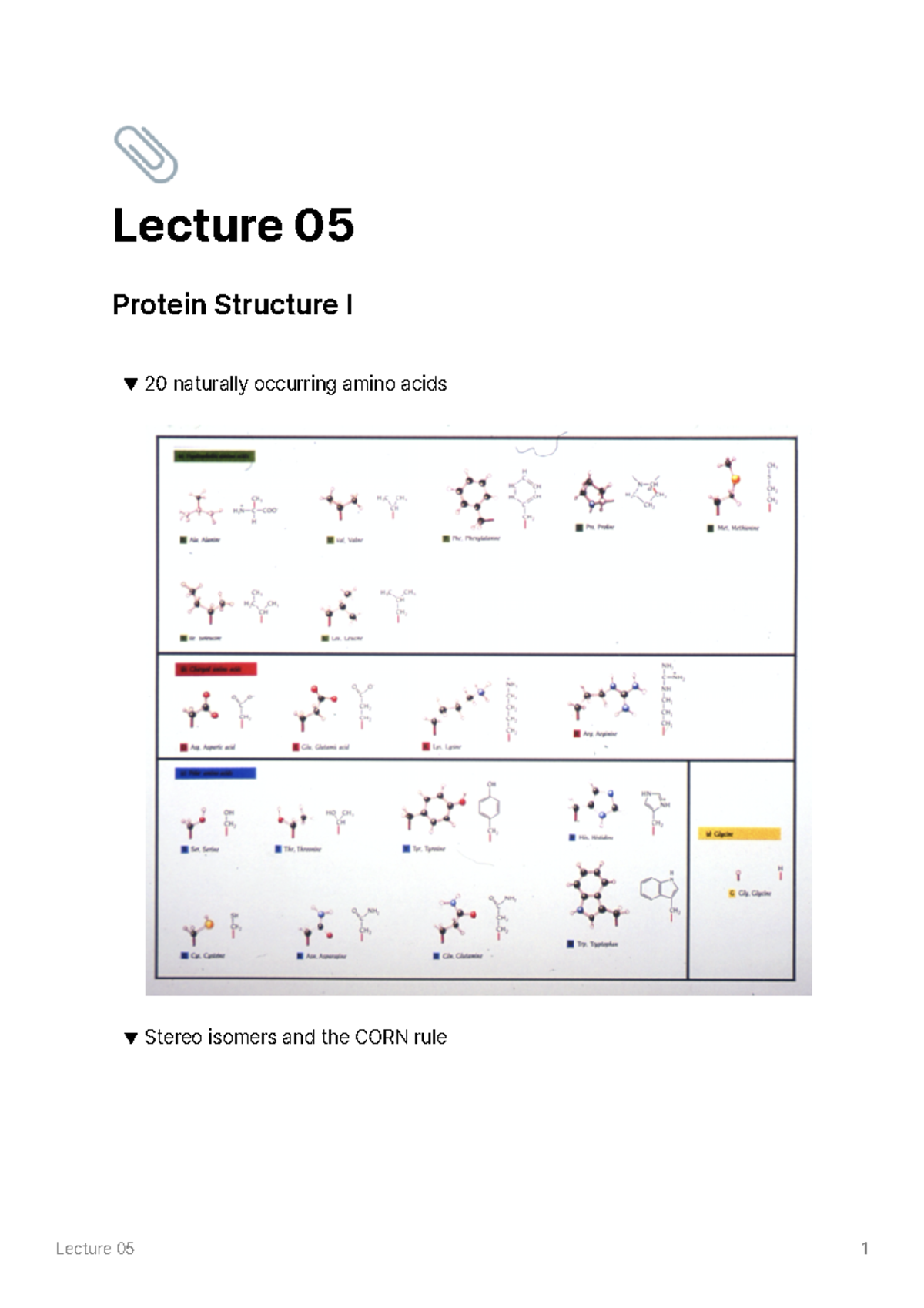 Lecture 05 - Protein Structure I - Lecture ԅԋ Ԇ 񃠀 Lecture 05 Protein ...