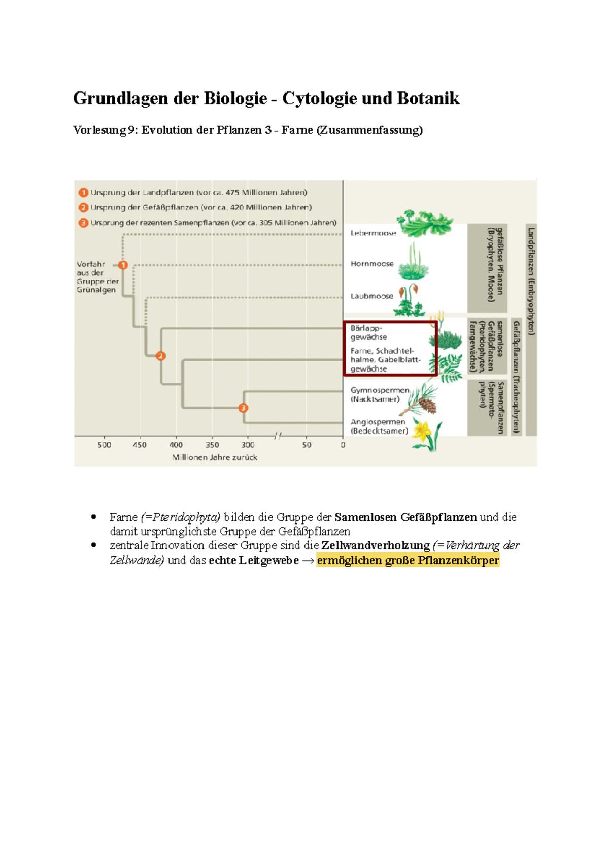 Grundlagen der Biologie 1 VL8 Farne Grundlagen der Biologie