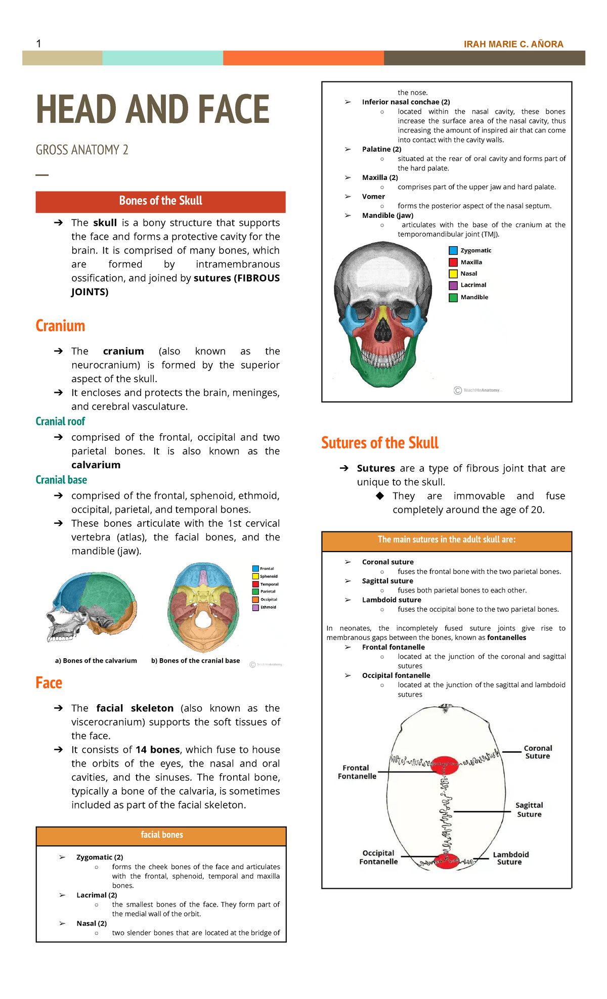 Anatomy HEAD AND FACE - med - 1 IRAH MARIE C. AÑORA HEAD AND FACE GROSS ...