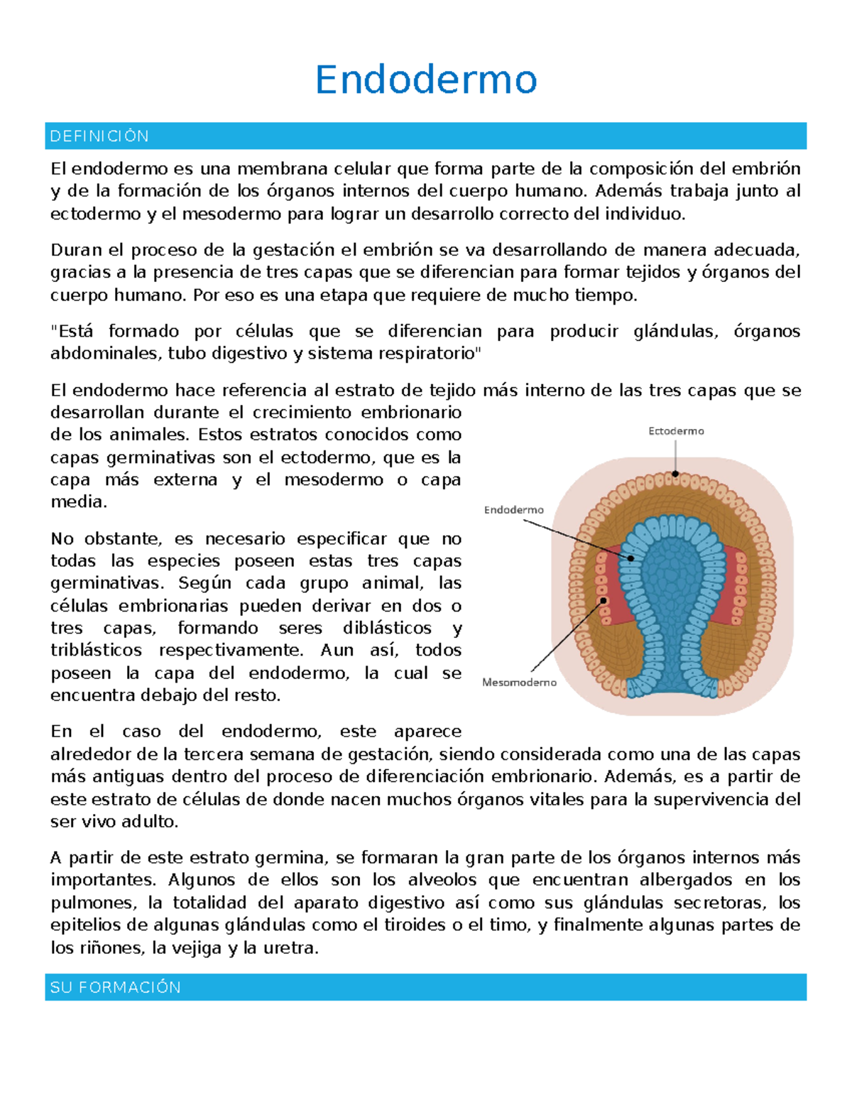 Endodermo - Endodermo DEFINICIÓN El endodermo es una membrana celular ...
