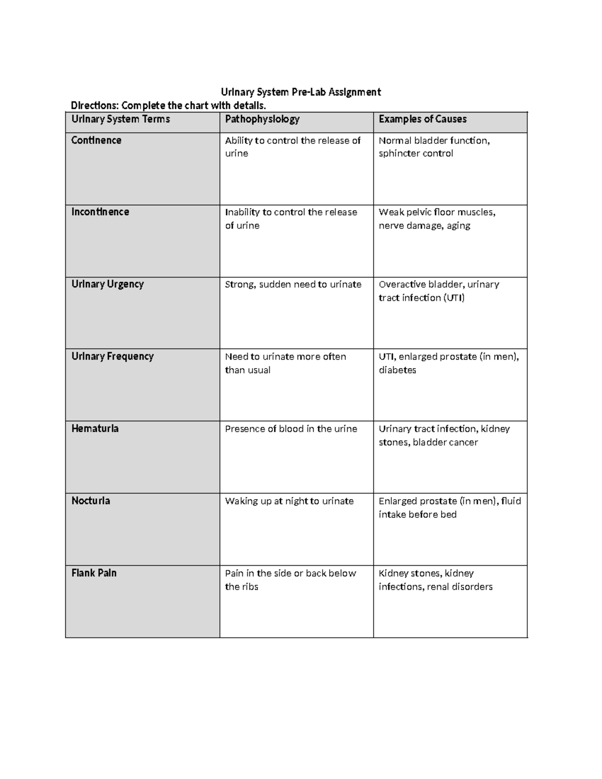 lab assignment urinary system