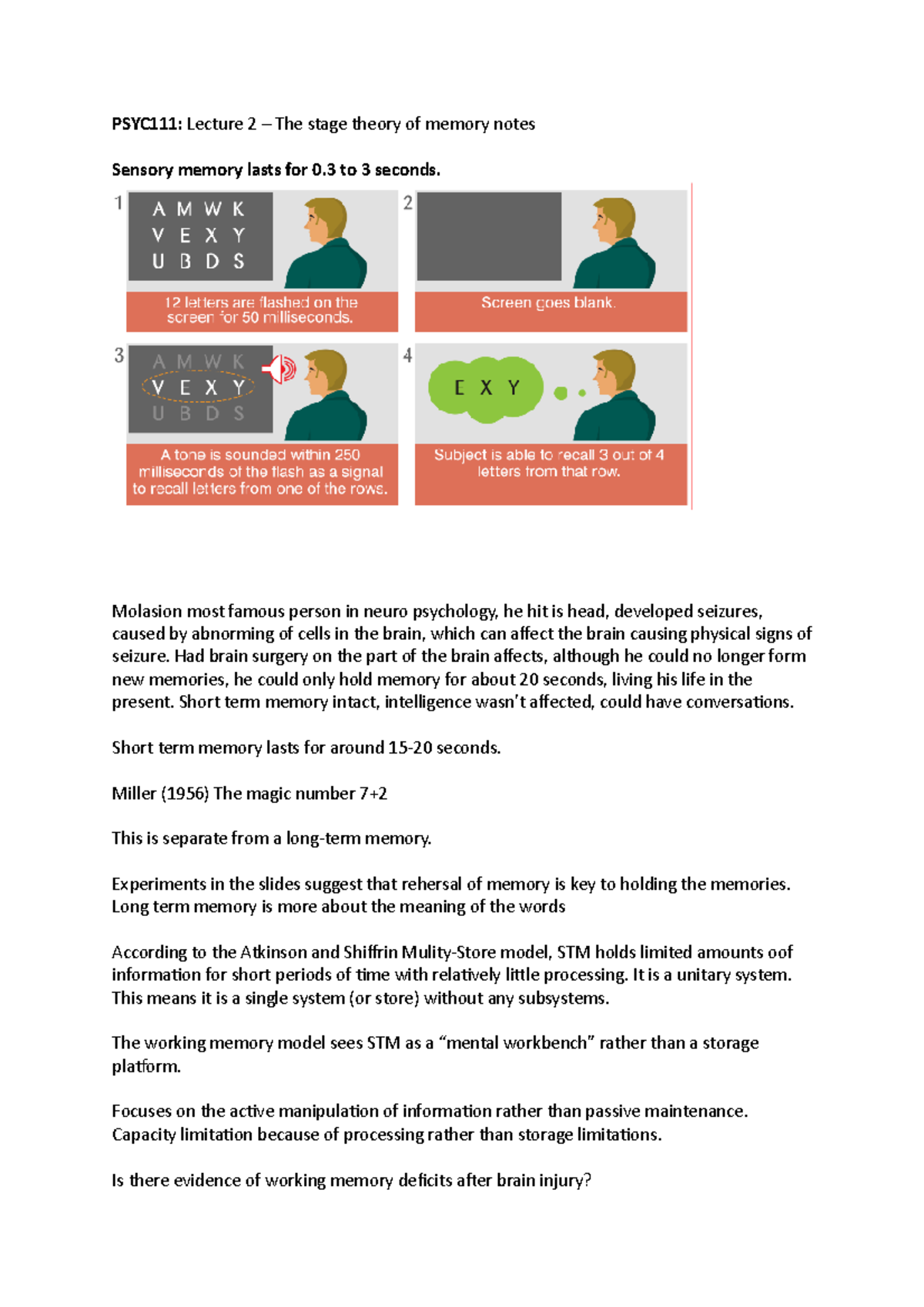 L2 Notes - PSYC111: Lecture 2 – The stage theory of memory notes ...