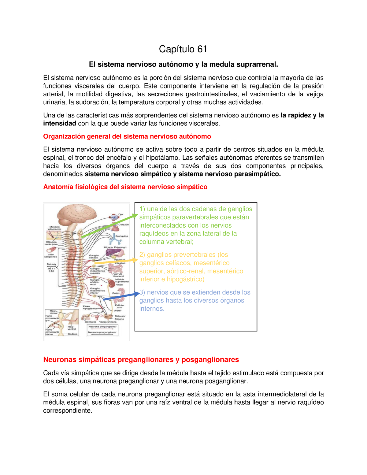 Cap Resumen Del Capitulo De Fisiologia Guyton And Hall El Sistena Nervioso Autonomo