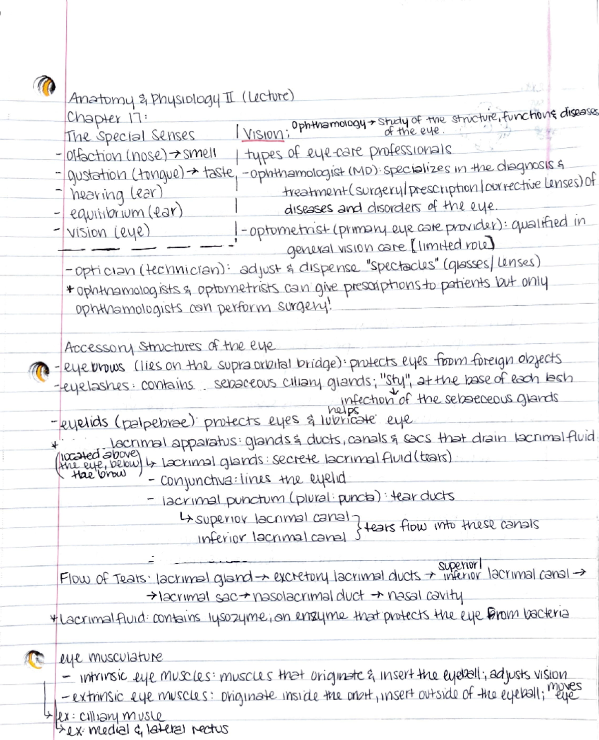 BIO152ch17 Anatomy and Physiology - A-n~·-romy 21 '?\ri~s10\ot34 .1L ...