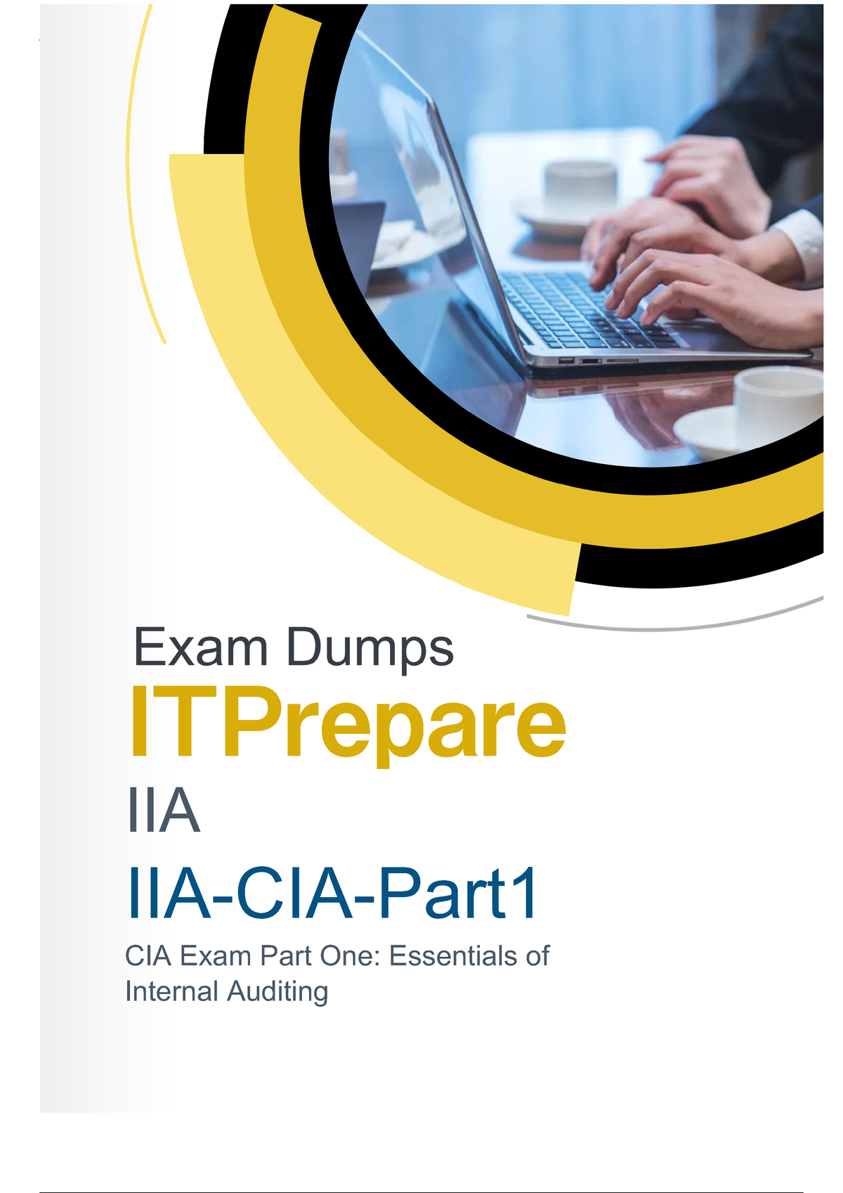 New IIA-CIA-Part1 Exam Dumps