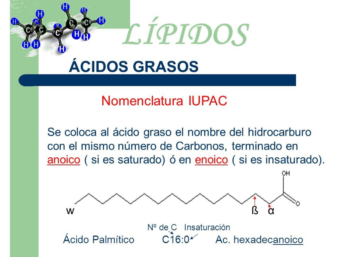 Información ácidos Grasos Saturados E Insaturados Nomenclatura