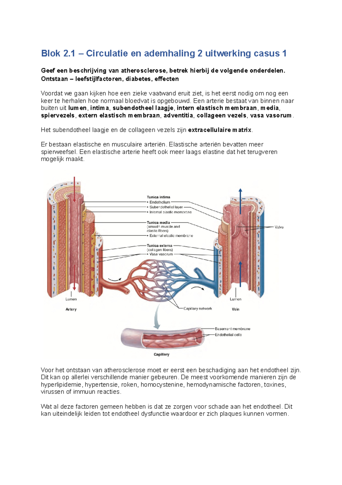 Blok 2 1 Circulatie En Ademhaling 2 Uitwerking Casus 1 Blok 2