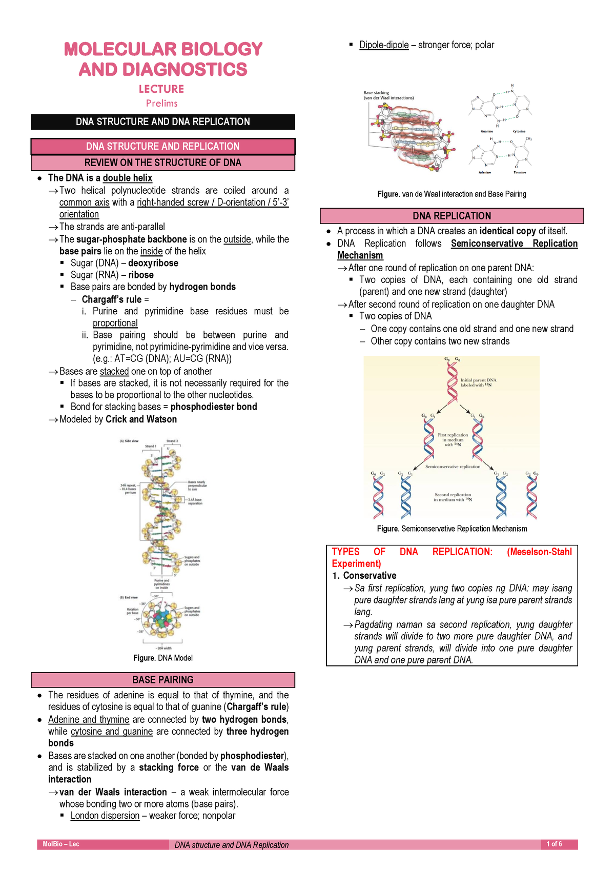 LEC P. DNA-structure-and-DNA-Replication - MOLECULAR BIOLOGY AND ...