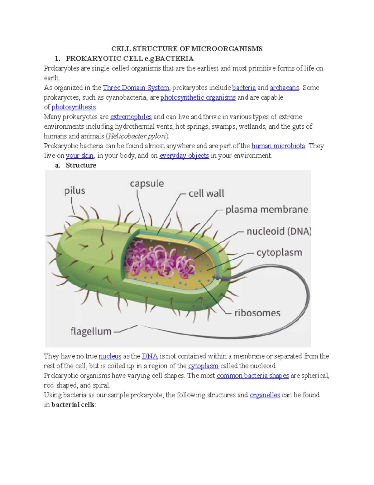 CELL Structure OF Microorganisms - CELL STRUCTURE OF MICROORGANISMS 1 ...