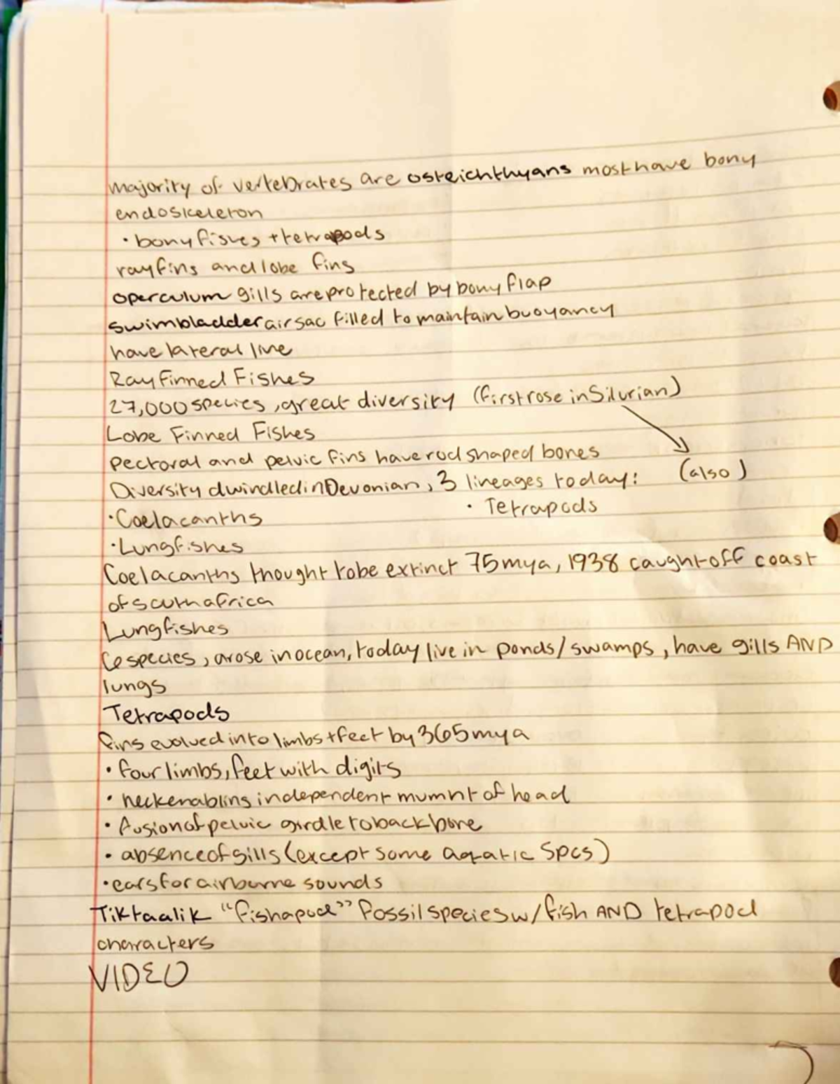 Scan 01 Apr 23 20·59·45 - chapter 34 vertebrates - BIO 1272 - Studocu