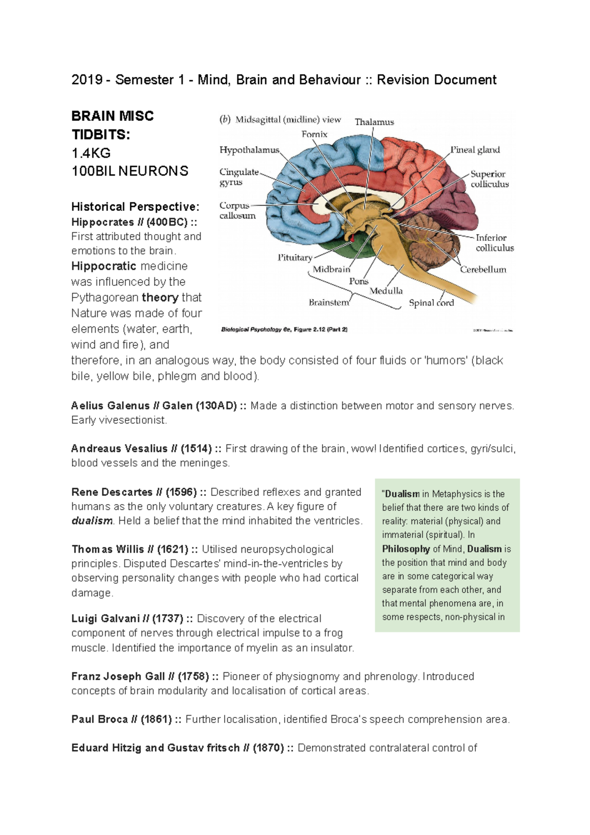 1003 Revcomp DOC - Summary Mind, Brain & Behaviour 1 - 2019 - Semester ...