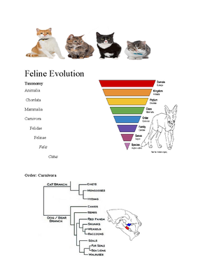 November 18th - Companion Animal Nutrition: Basic Nutrition - Companion ...