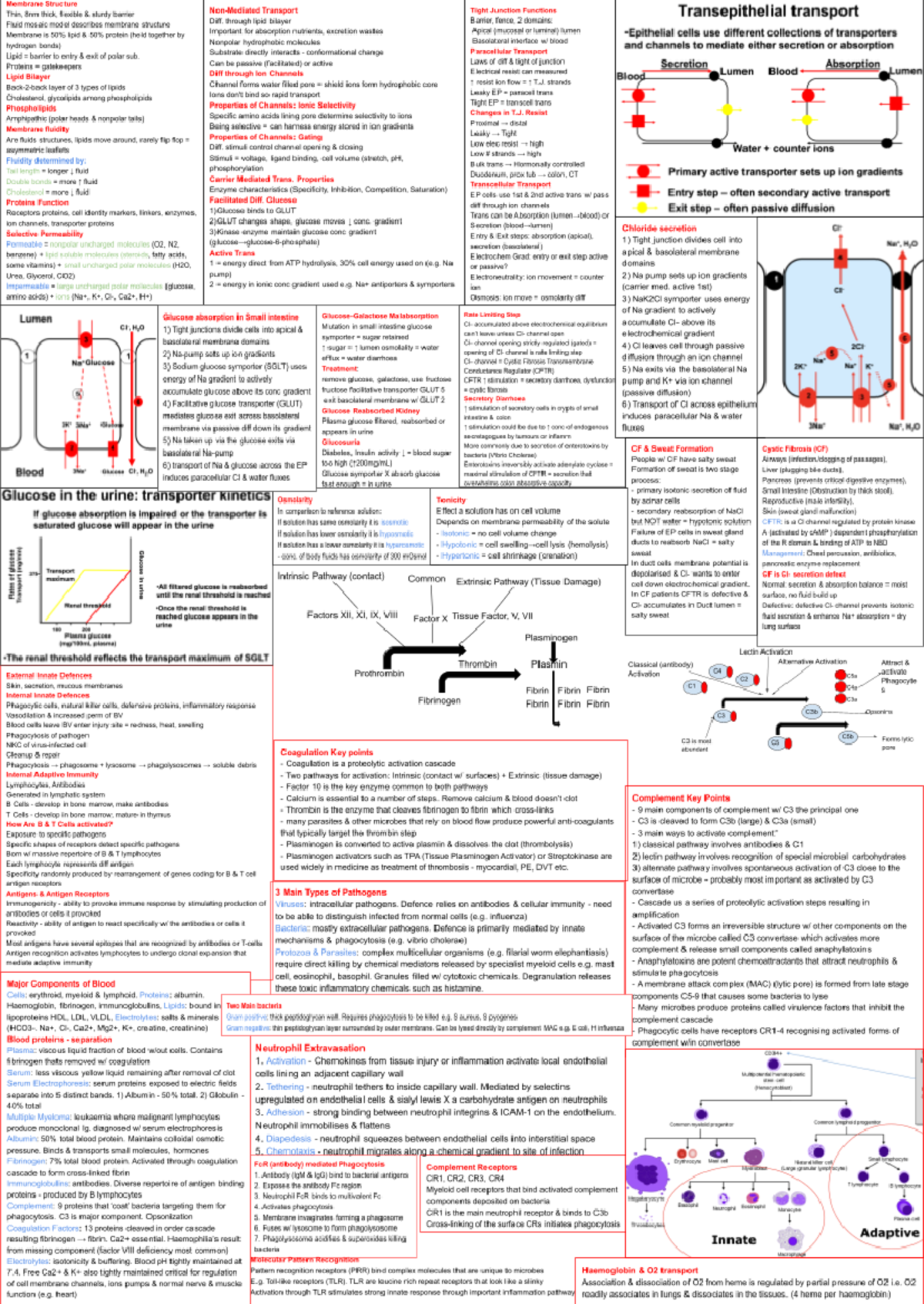 Biosci 107 Cheat Sheet - Membrane Structure This, 8rm thick floxible ...