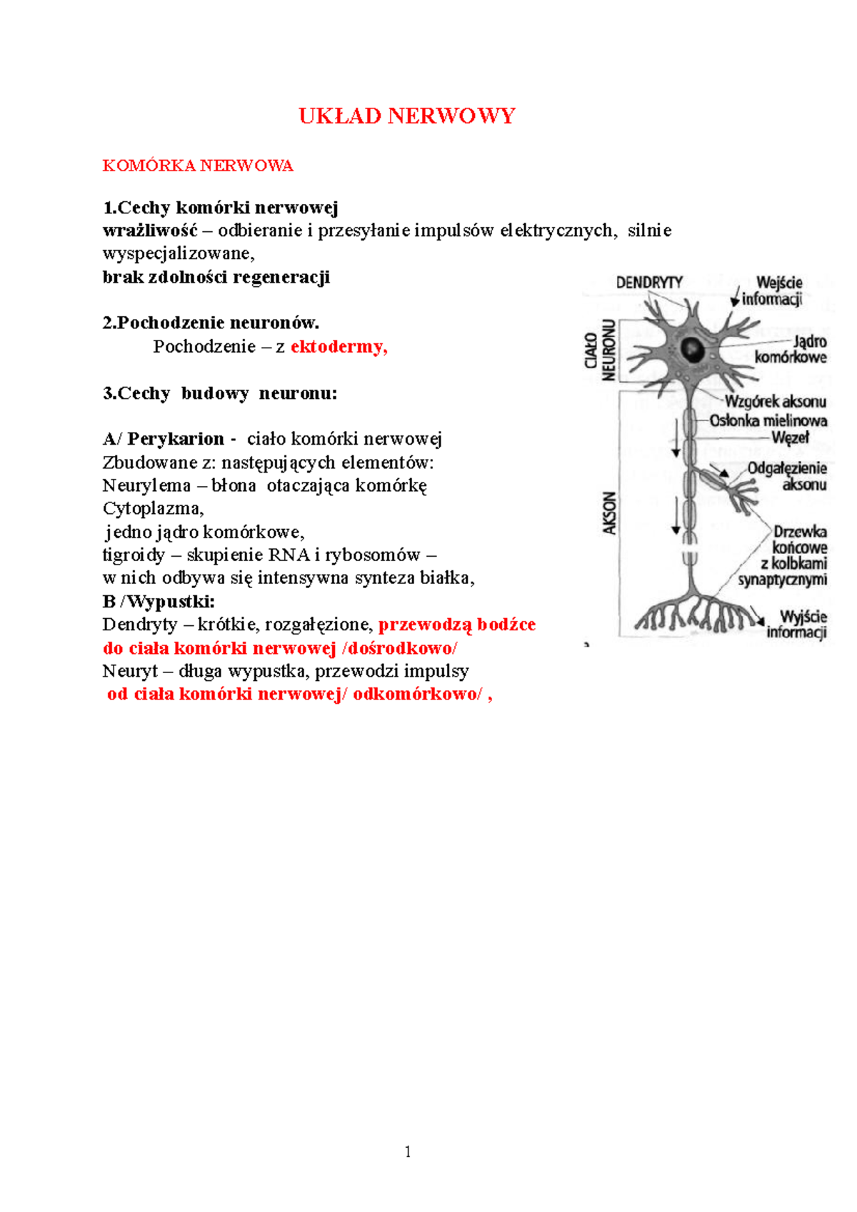 1 - Notatki Anatomia - UKŁAD NERWOWY KOMÓRKA NERWOWA 1 Komórki Nerwowej ...