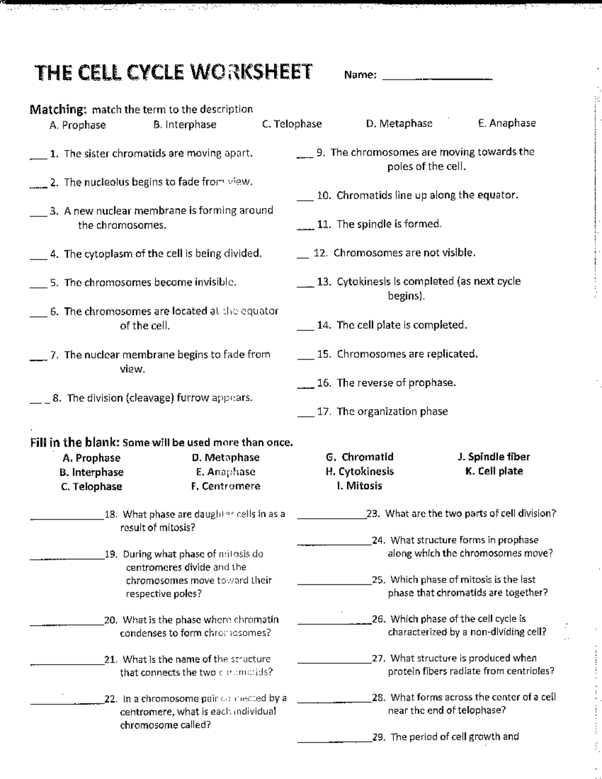 Mitosis Review - cell cycle - THE CELL CYCLE WORKSHEET Name: Matching ...