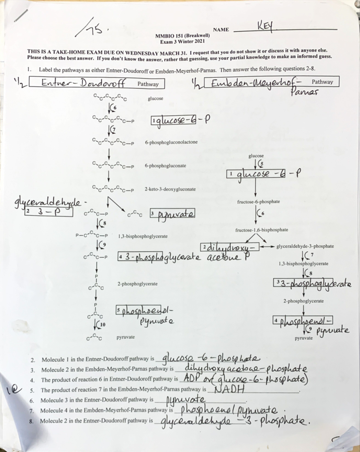 Biochemistry CHEM 481 Exam 3 key - CHEM 353 - Studocu