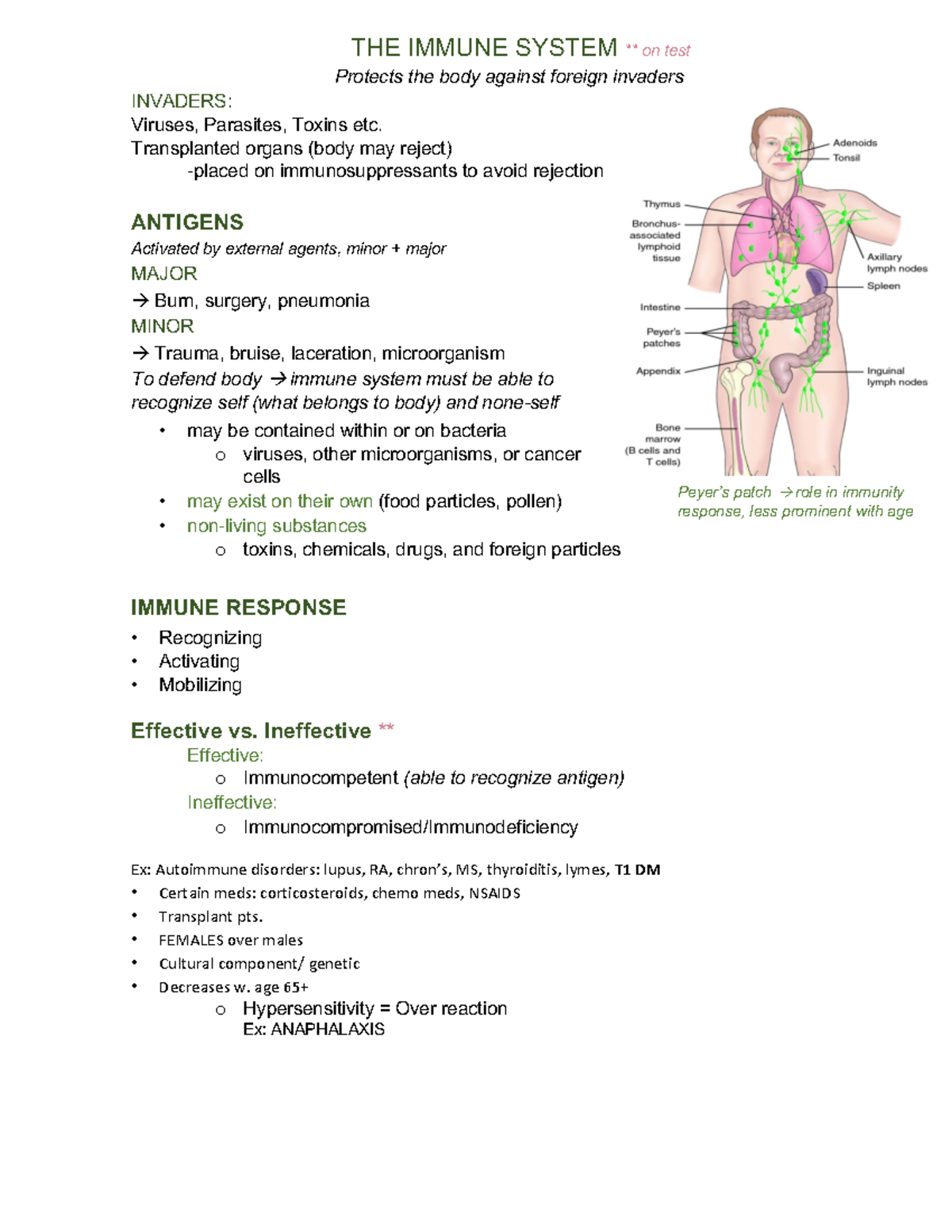UNIT 1 Study guide - THE IMMUNE SYSTEM ** on test Protects the body ...