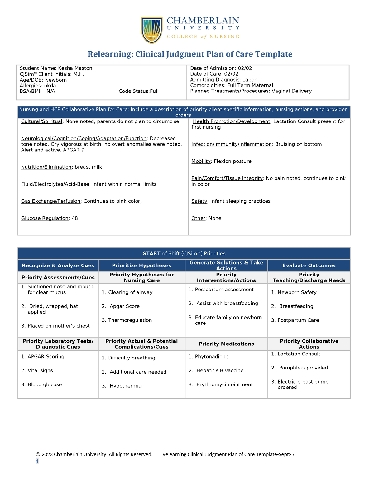 Milaja Hasam Care Plan Relearning clinical judgment plan of care