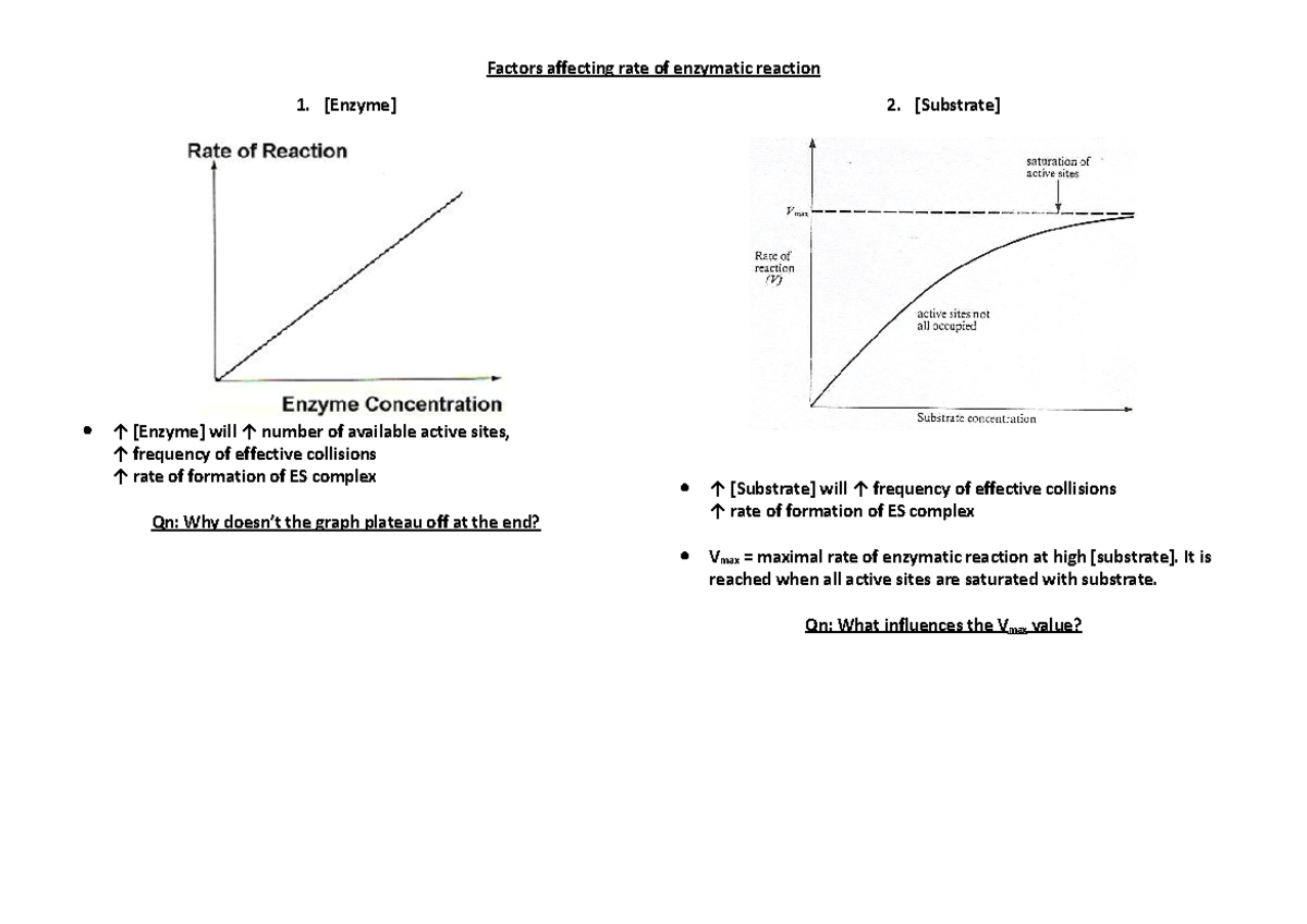 3. Enzymes - Factors affecting rate of enzymatic reaction - Factors ...