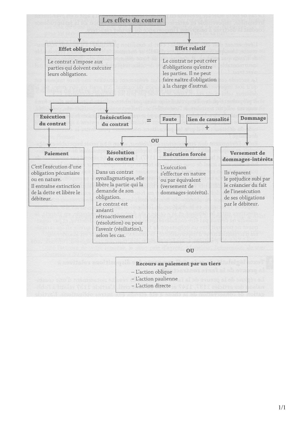Les Effets Du Contrat Schéma - Droit Des Contrats - 1/ - Studocu
