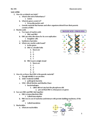 UNIT 1 Study Questions - DNA STRUCTURE AND FUNCTION What is DNA? a. DNA ...