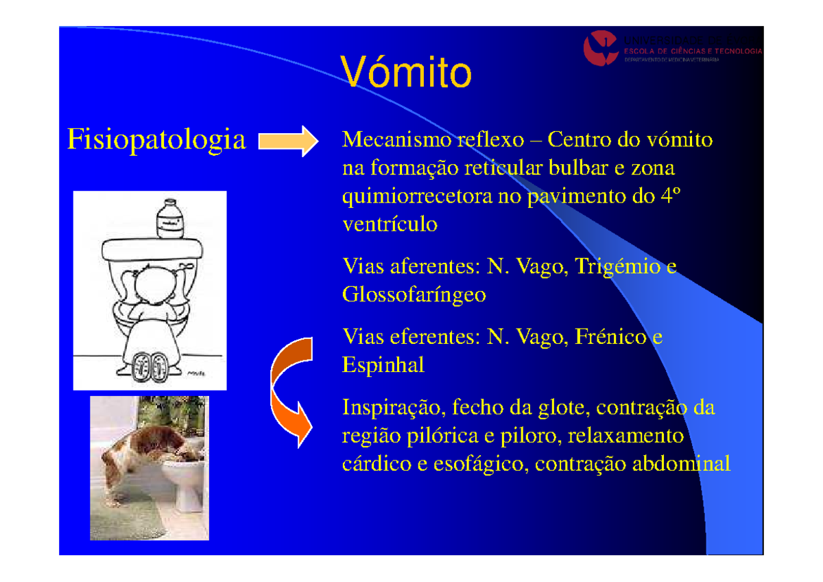 Diferença Entre Vômitos E Regurgitação – SLEQJZ
