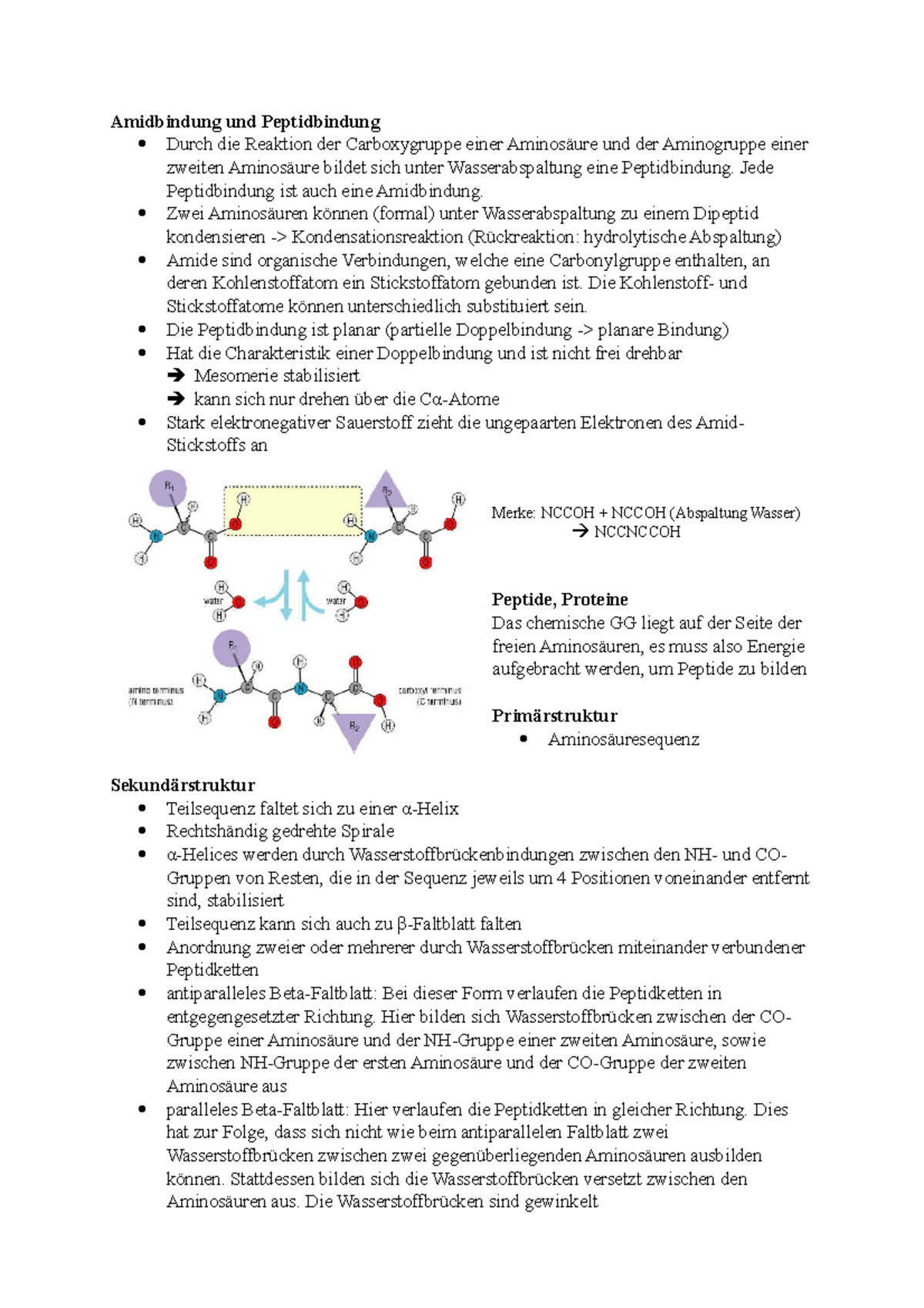 Biochemie Vorlesung - Biochemie - RFH - Studocu