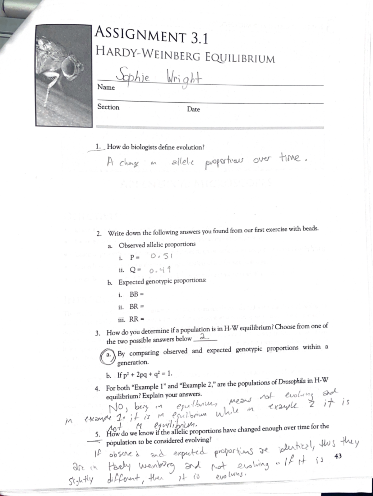 Chapter 3 Lab Notebook Work - Bio 204 - Studocu