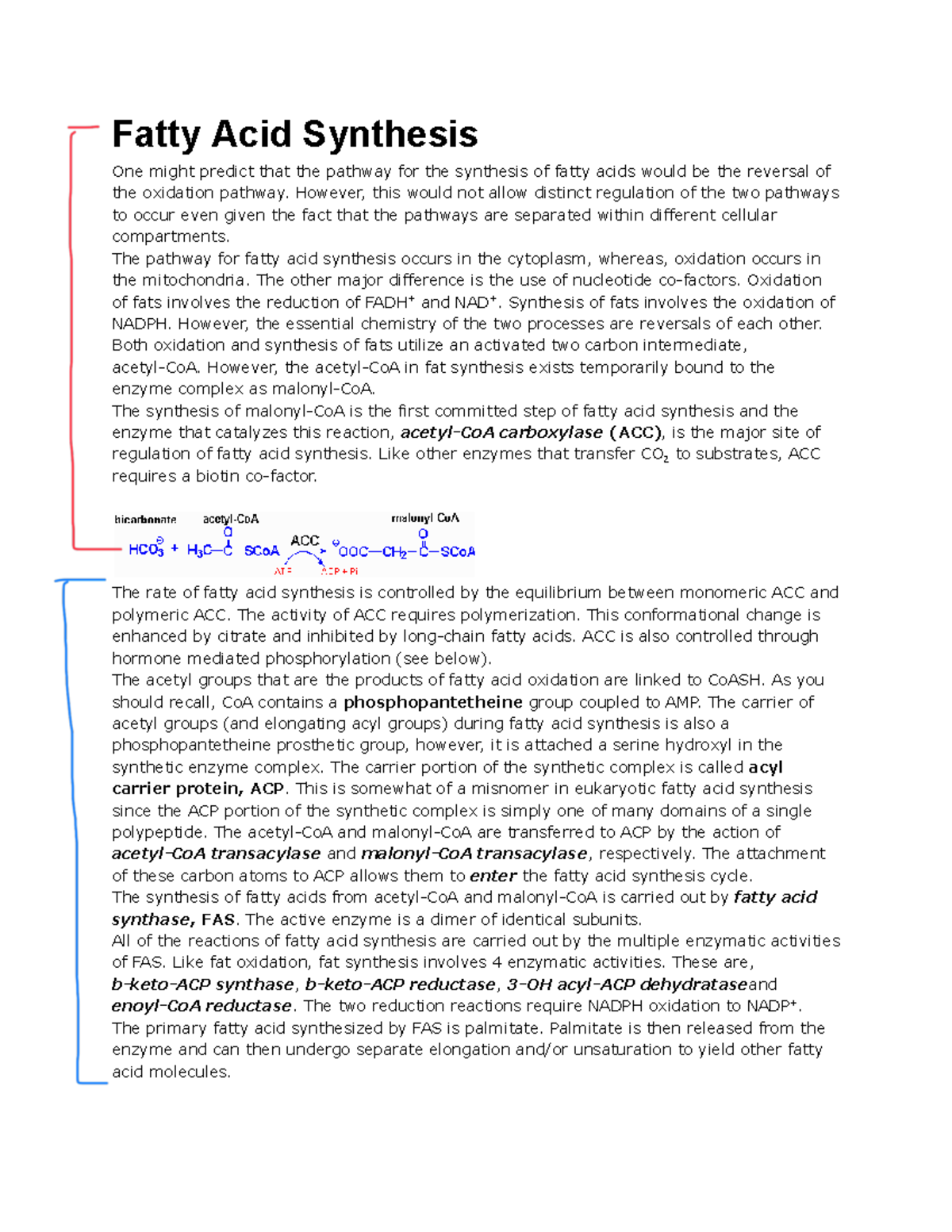 Report Content Biochem - Fatty Acid Synthesis One might predict that ...