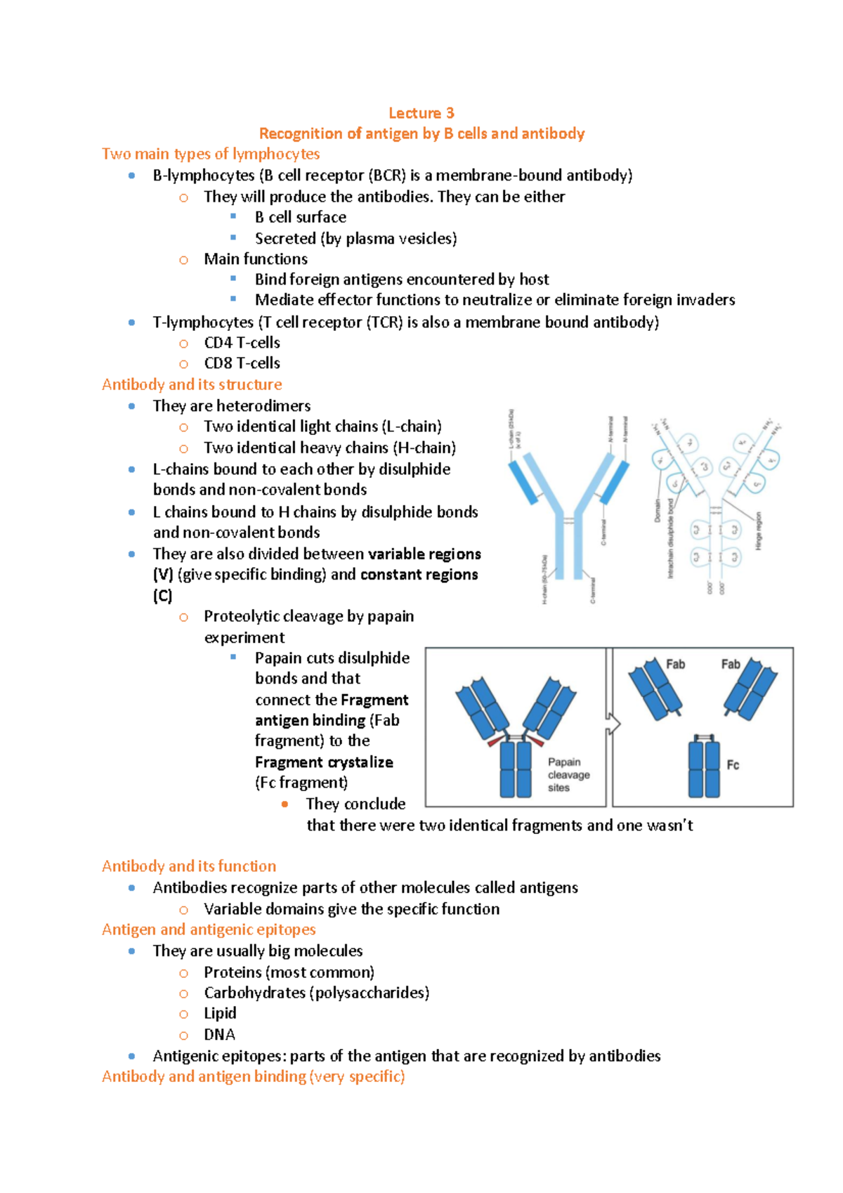 Week 2 notes Lecture 3 Recognition of antigen by B cells and antibody