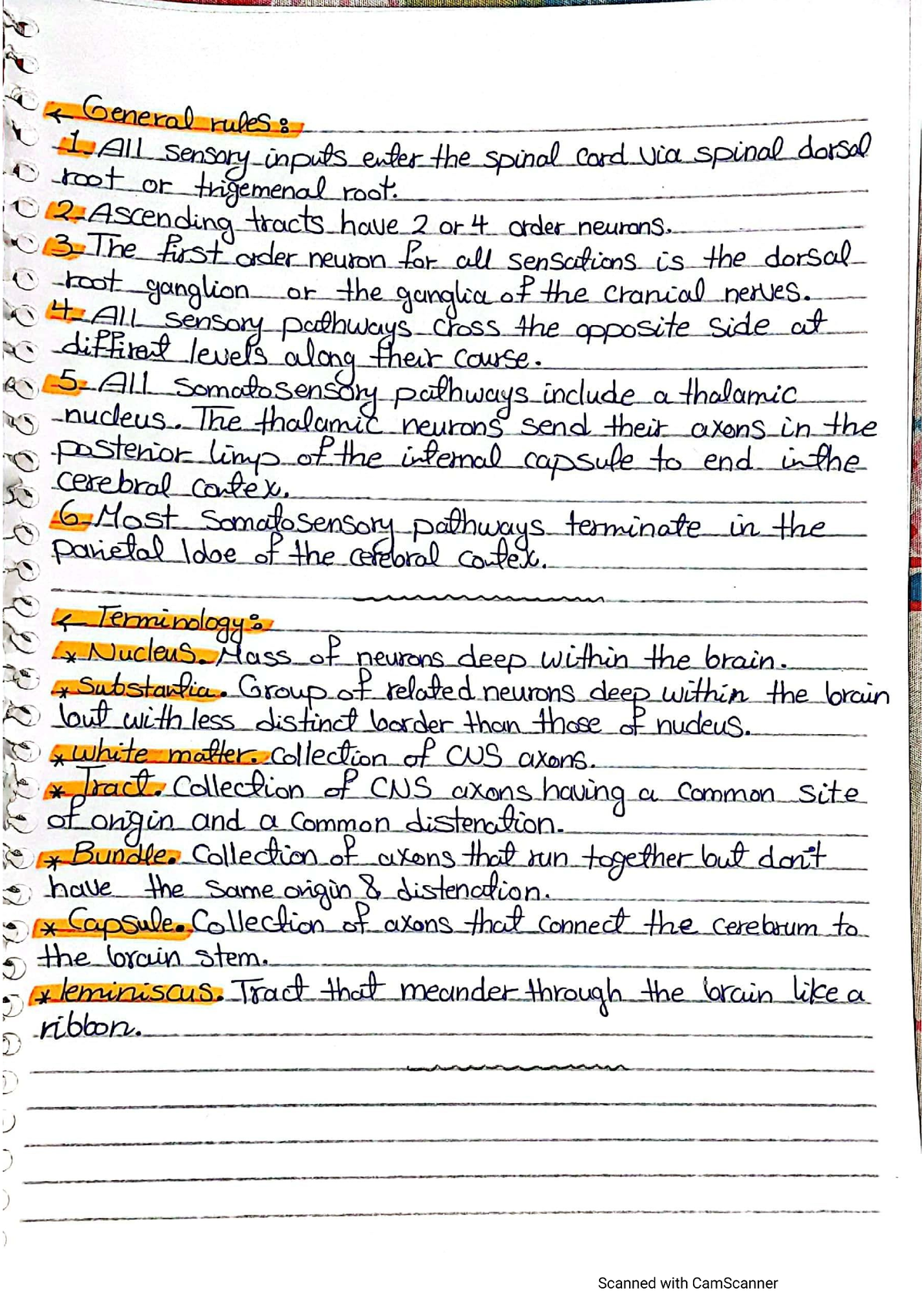 Notes on 2nd lecture physiology - anatomy - Studocu