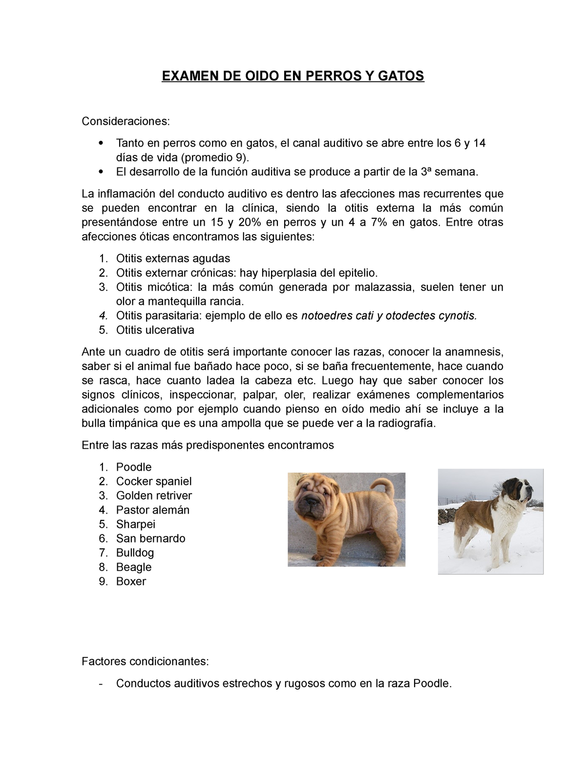 Examen de oido en animales menores - EXAMEN DE OIDO EN PERROS Y GATOS  Consideraciones:  Tanto en - Studocu