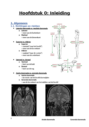 Vocabulaire Anatomie En Fysiologie - Vocabulaire Anatomie En Fysiologie ...