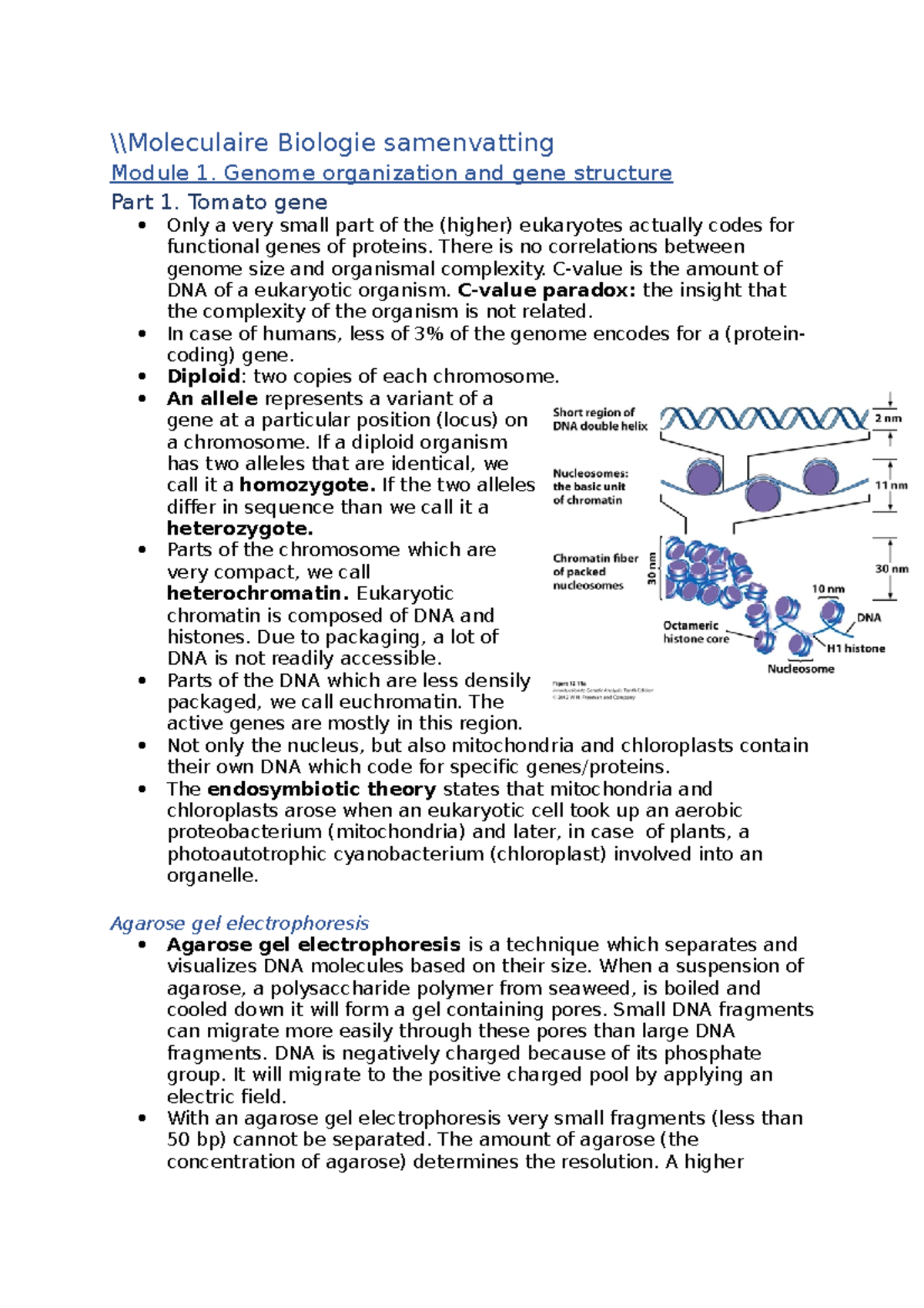 Moleculaire Biologie Samenvatting - \Moleculaire Biologie Samenvatting ...