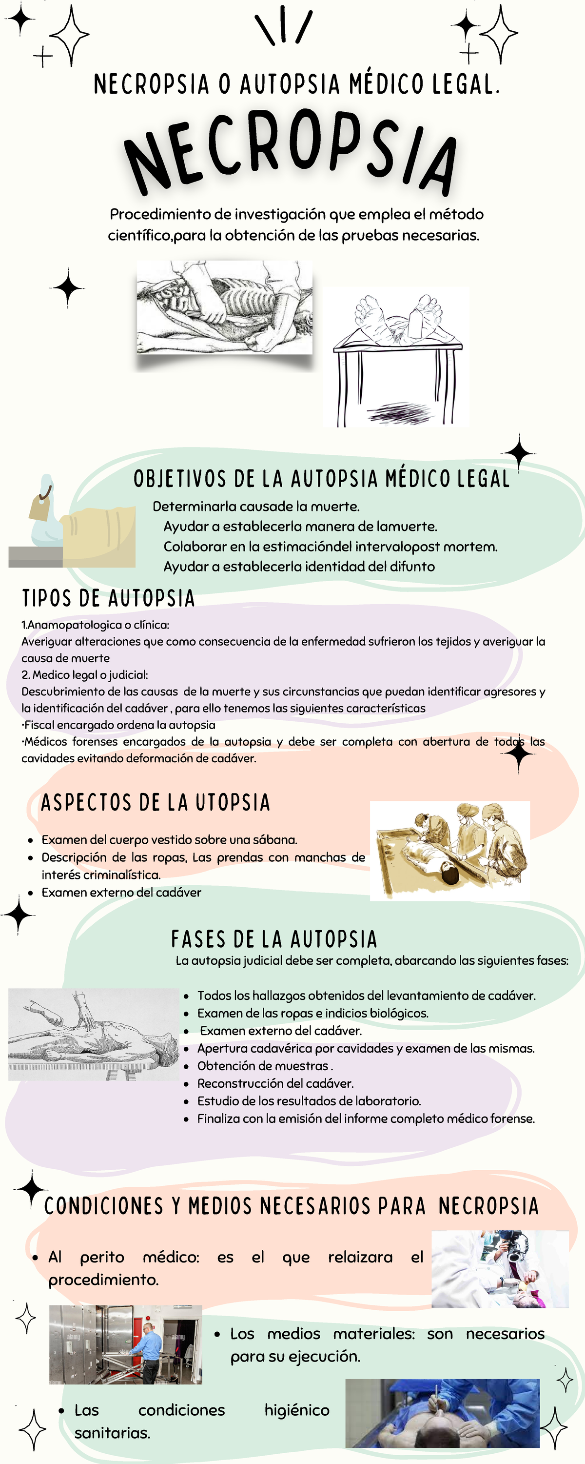 Infografia Necropsia Necropsia O Autopsia MÉdico Legal 1 O Clínica