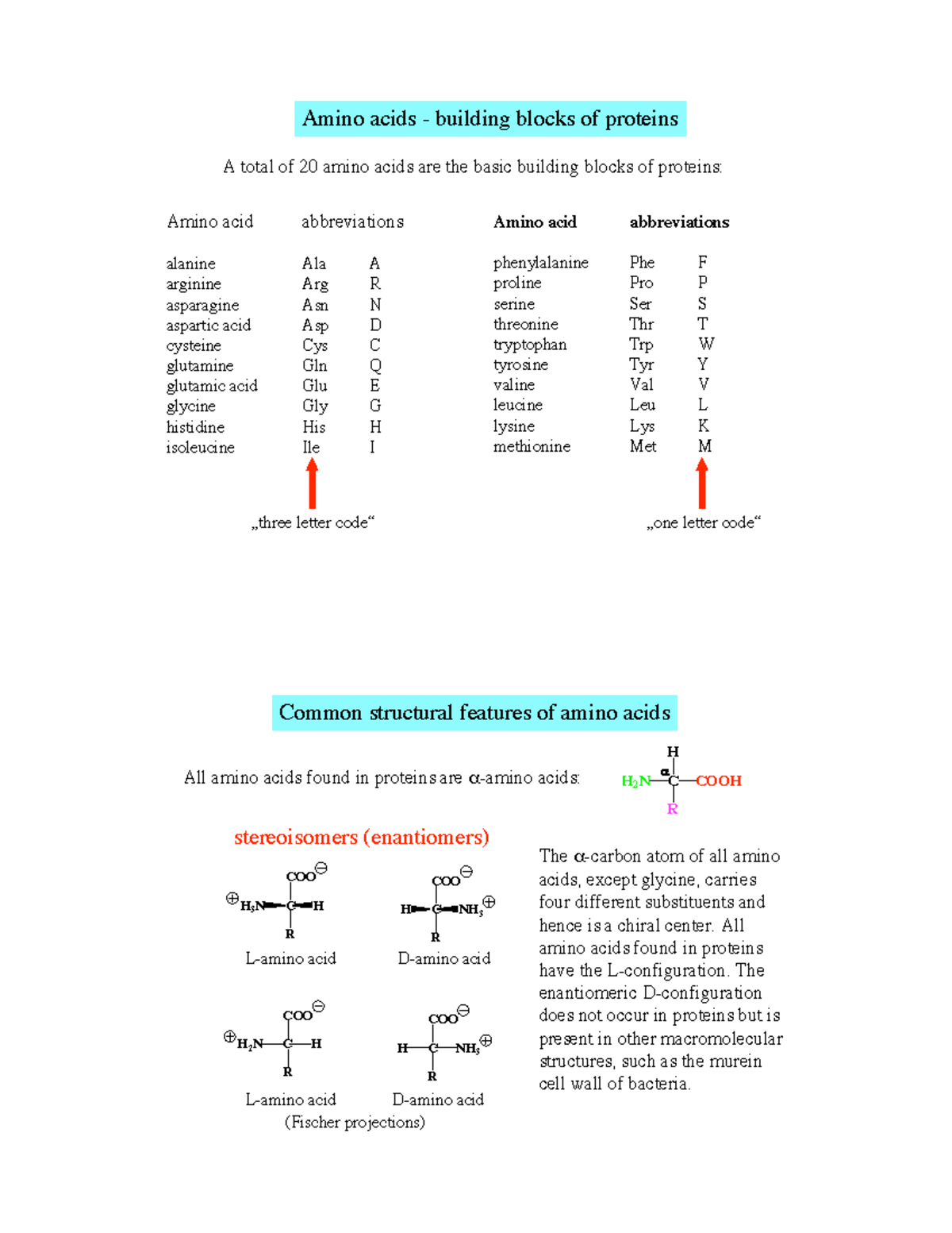 Chapter 3 Zusammenfassung Amino acids building blocks of proteins