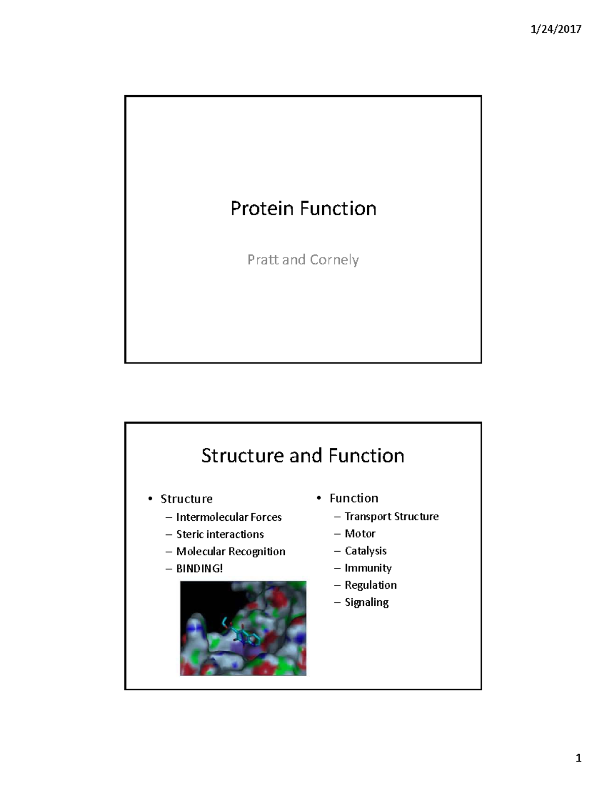 Lecturech 5 000 - Lecture notes 5 - Protein Function Pratt and Cornely ...