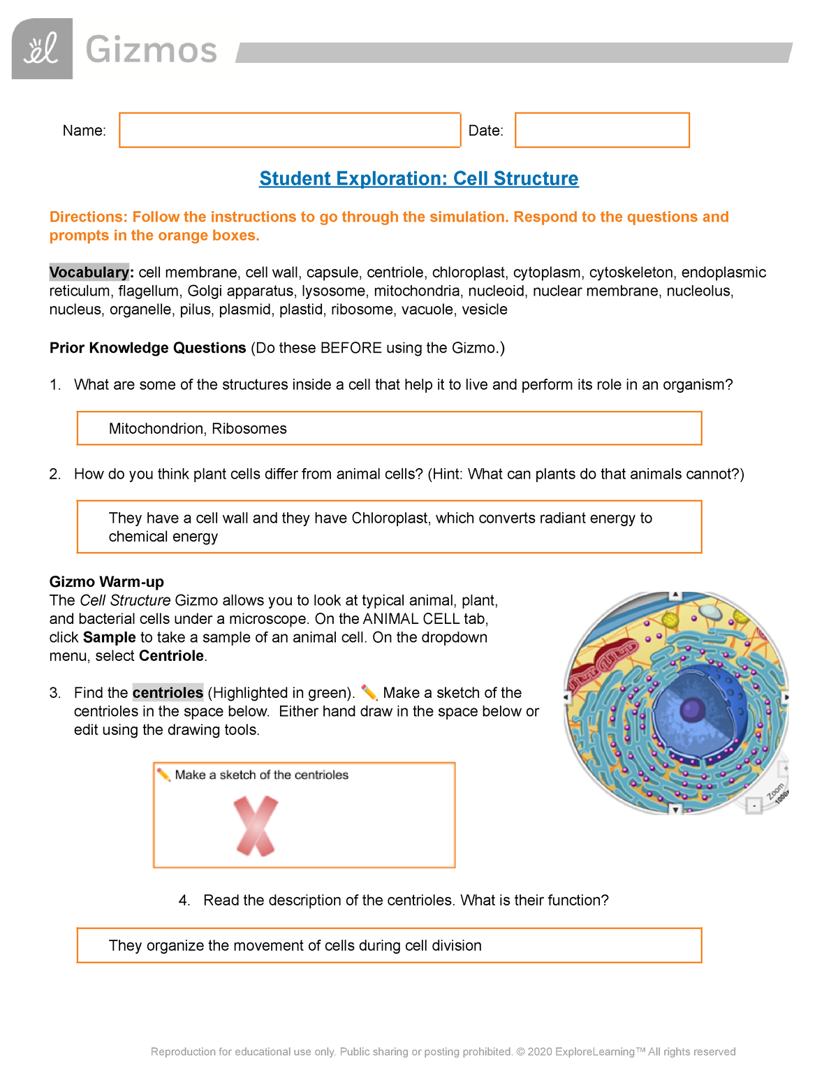 cell structure assignment