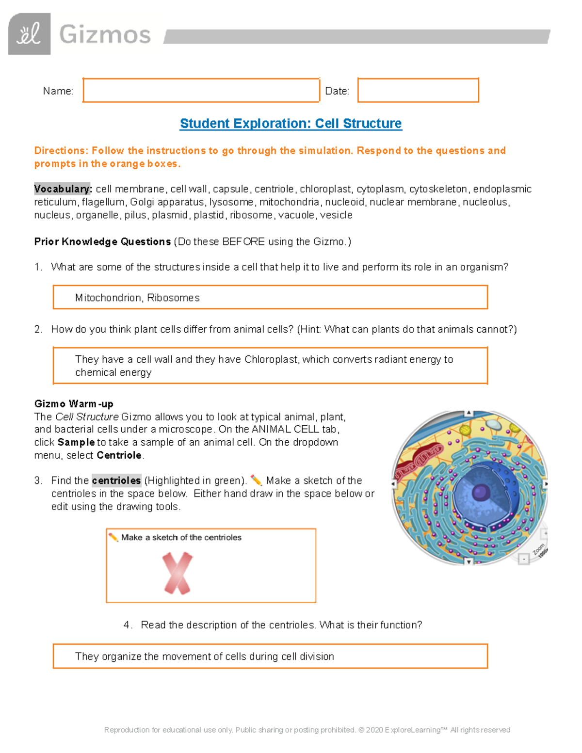 Cell Structure Gizmo Student Exploration Name Date Student 