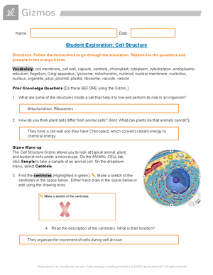 Pravastatin - Medication ATI - ACTIVE LEARNING TEMPLATES THERAPEUTIC ...