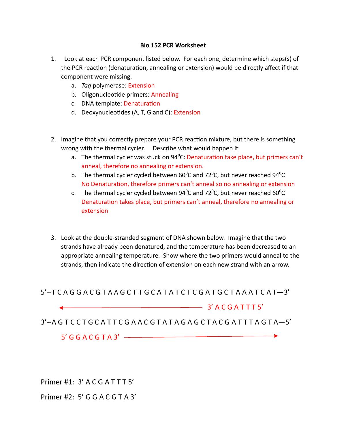 Pcr Practice Worksheet Answers