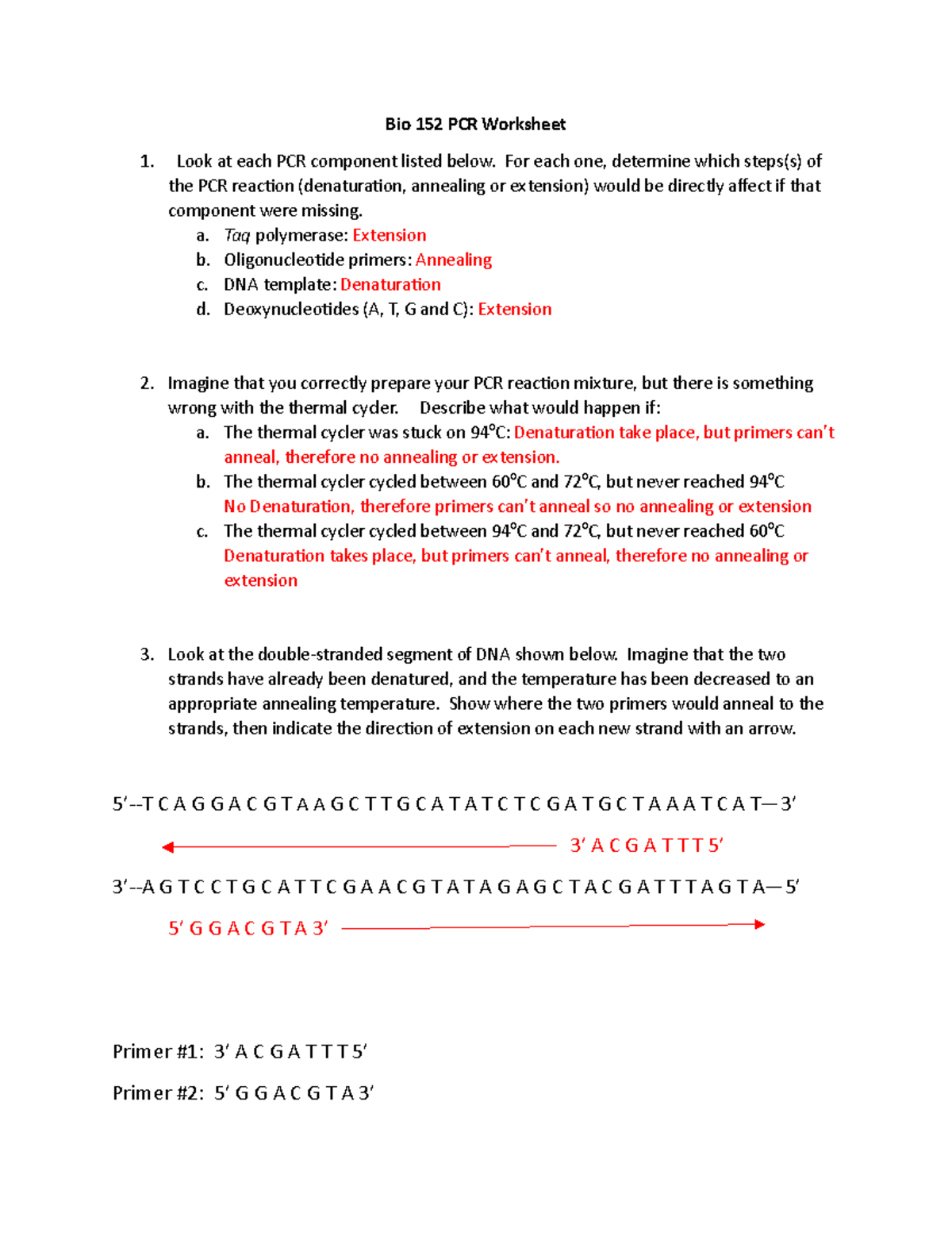 Bio 152 PCR Worksheet Answer Key Bio 152 PCR Worksheet Look At Each PCR Component Listed Below 