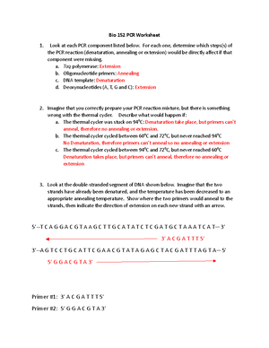 Bio 152 PCR Worksheet Answer Key - Bio 152 PCR Worksheet Look at each PCR component listed below. - Studocu bio-152-pcr-worksheet-answer-key-bio-152-pcr-worksheet-look-at-each-pcr-component-listed-below-studocu